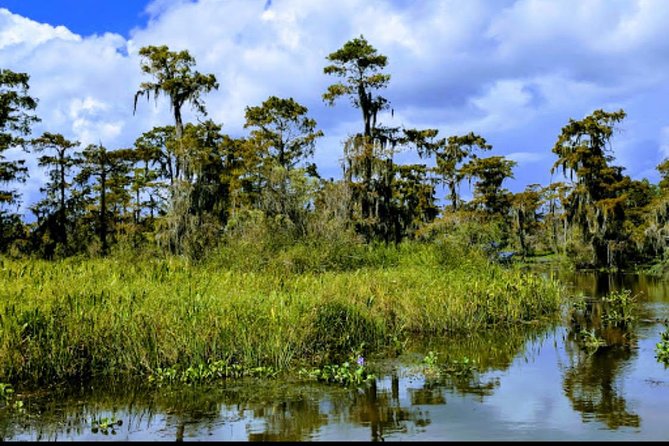 New Orleans Swamp Tour Boat Adventure With Pickup - The Sum Up
