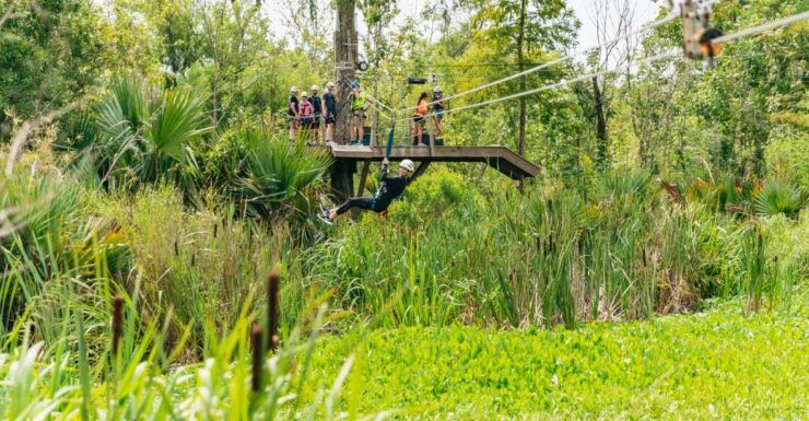 New Orleans: Swamp Zipline Tour - Experience Highlights