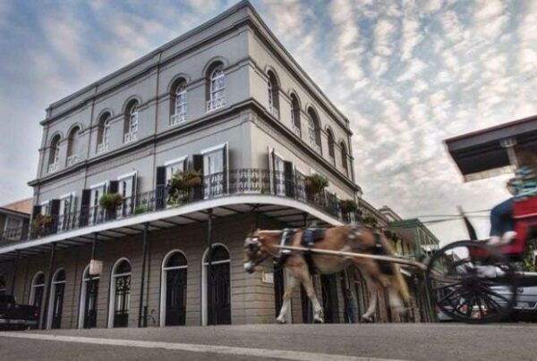 New Orleans: The Big Easy City Walking Tour - Customer Reviews