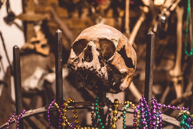 New Orleans Voodoo, Ghost, Murder, True Crime and Vampire Tour - Tour Reviews and Highlights