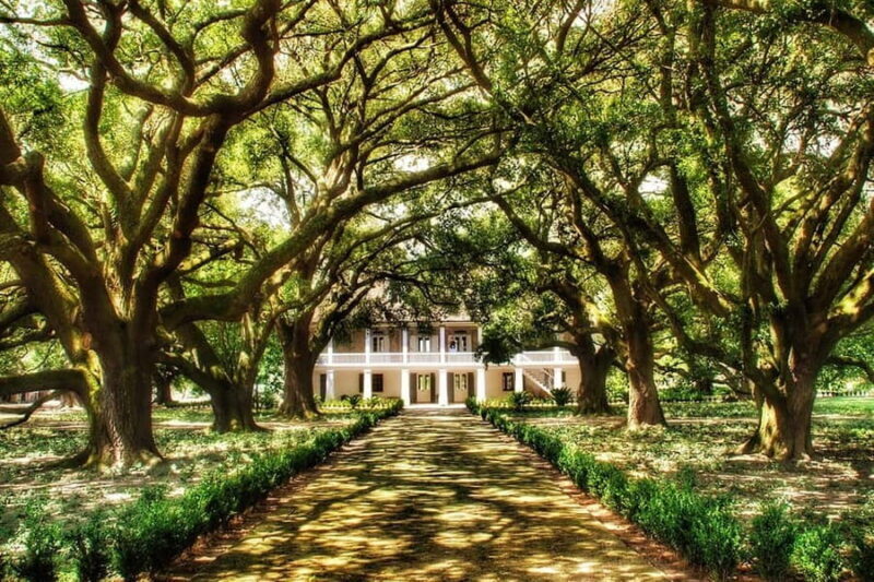 New Orleans: Whitney Plantation Tour with Transportation - The Value of This Experience