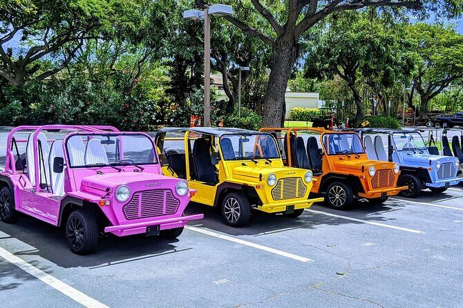 *** New Product *** Moke My Day Adventure Tour free WiFi - Exploring Curaçao with the Moke My Day Adventure Tour: An Honest Review