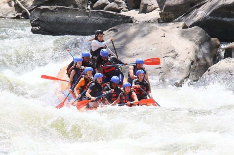 New River Gorge: Lower New River Full-Day Rafting Tour - Good To Know