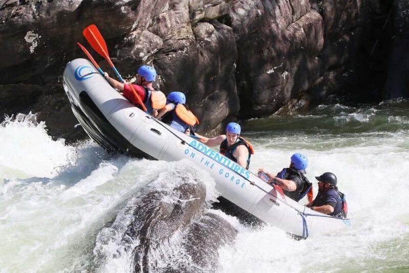 New River Gorge: Lower New River Full-Day Rafting Tour - Pricing and Value