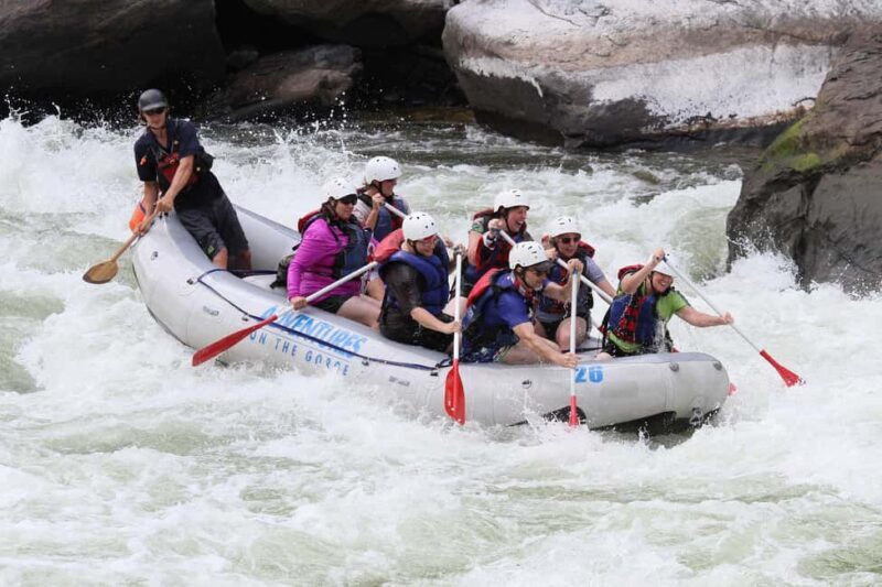 New River Gorge: Lower New River Full-Day Rafting Tour - Who Should Consider This Tour?