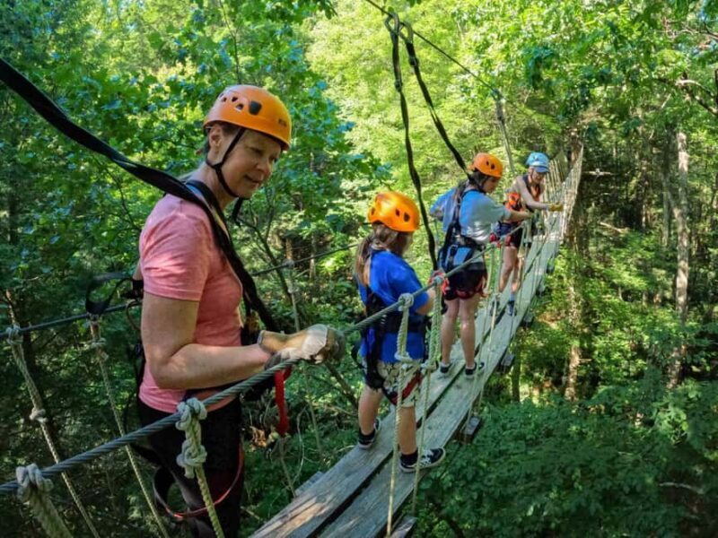 New River Gorge: TreeTops Zipline Tour - Who Should Consider This Tour?