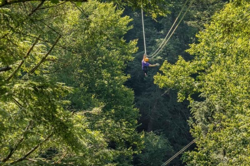 New River Gorge: TreeTops Zipline Tour - FAQ