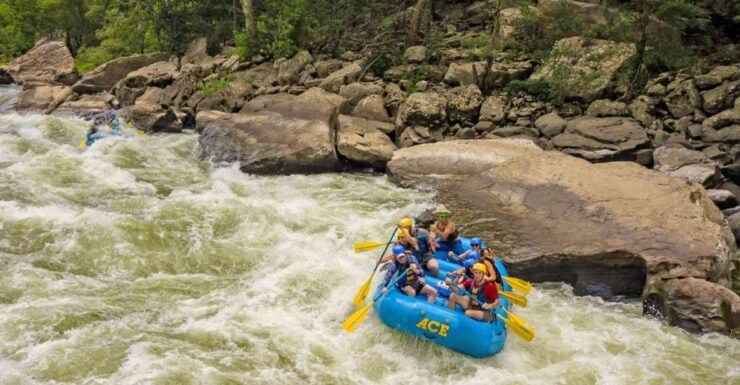 New River Gorge Whitewater Rafting - Lower New Full Day - Activity Highlights