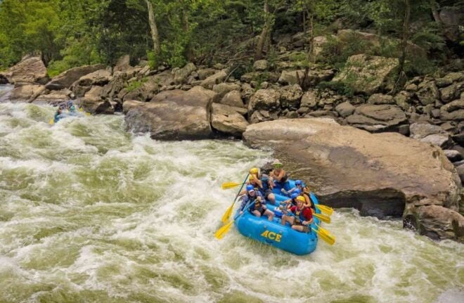 New River Gorge Whitewater Rafting - Lower New Full Day - Select Participants and Date