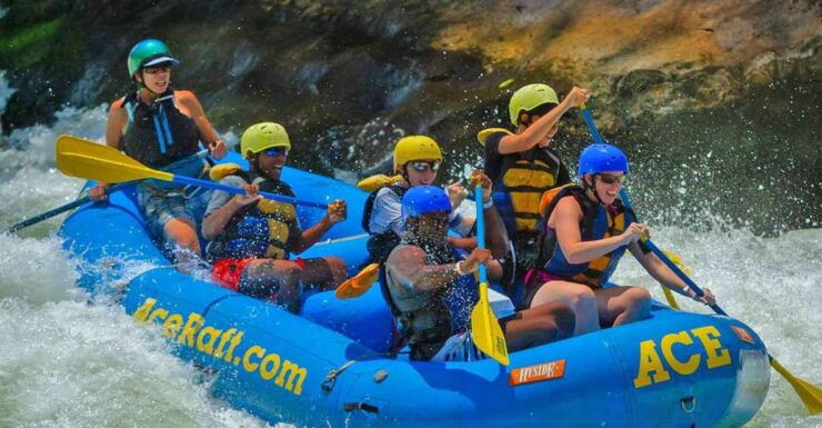 New River Gorge Whitewater Rafting - Lower New Half Day - Experience Highlights