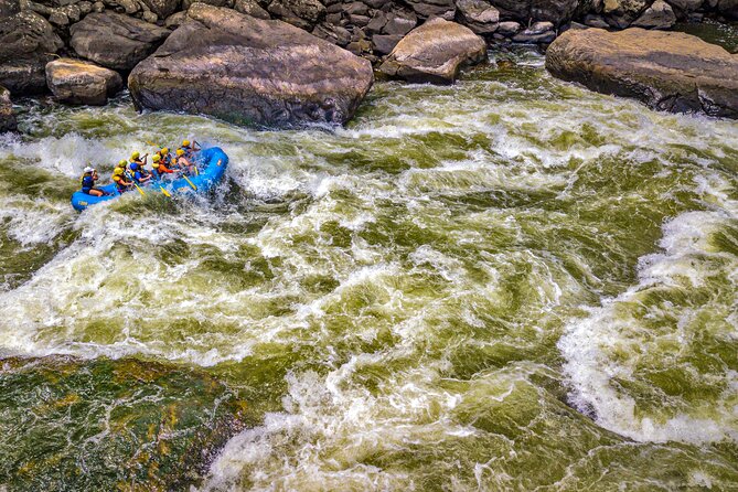 New River Gorge Whitewater Rafting, WV - Lower New Full Day - Trip Overview
