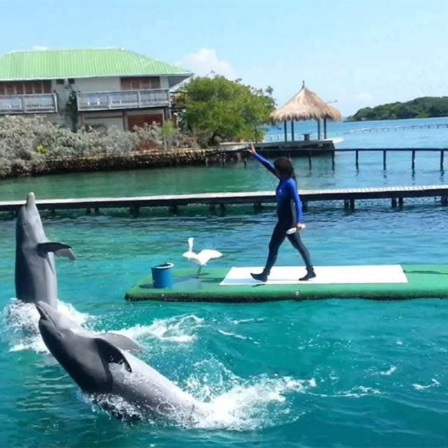 New: Spend the Day With Lunch, White Sand, and a Boat - New Offering Details