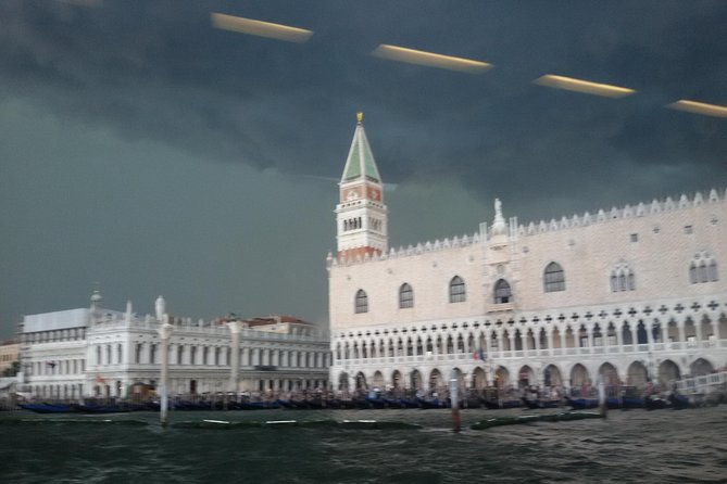 NEW Treasure Hunt! Find Out the Animals! - Booking and Cancellation Policy