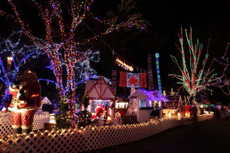 New Year Attraction Vancouver Highlight Tour - Festive Charm and Diverse Activities