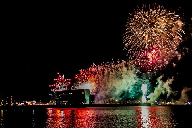 New Years Eve Fireworks Cruise in Reykjavik - Cruise Duration and Departure
