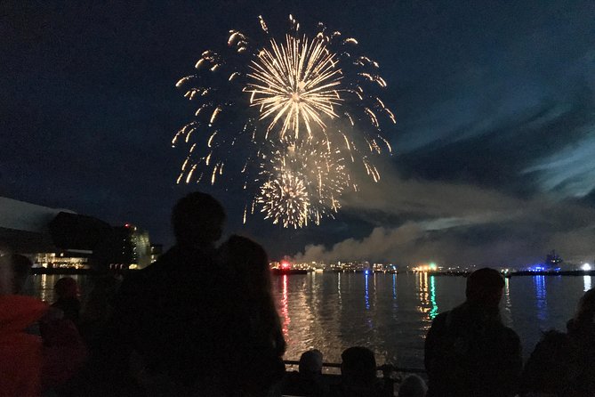New Years Eve Fireworks Cruise in Reykjavik - What To Expect