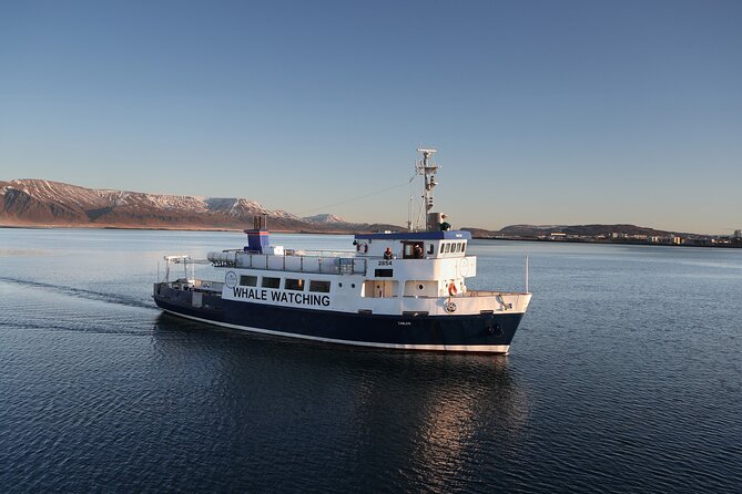 New Years Fireworks by Boat From Reykjavik - Complimentary Drinks and Snacks