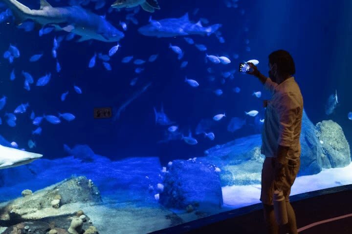 New York Aquarium ticket - Make the aquarium part of a Coney Island day