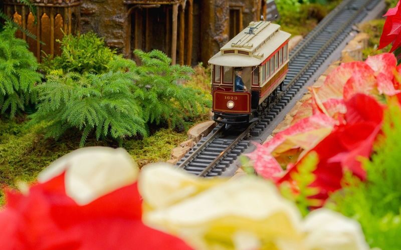 New York Botanical Garden Ticket - Is the ticket good value?