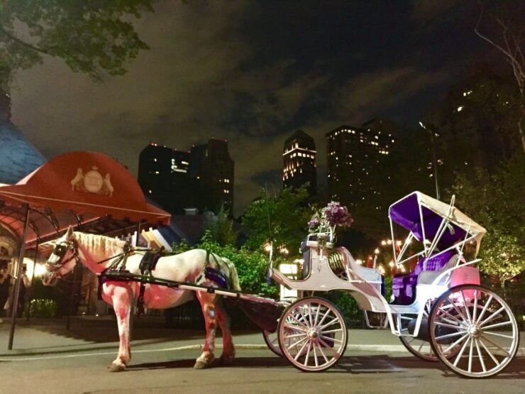 New York: Carriage Ride in Central Park - Experience