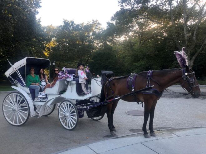 New York: Carriage Ride in Central Park - Customer Reviews