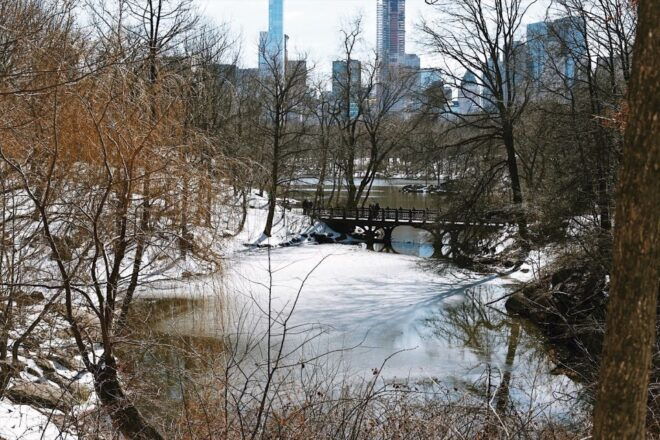 New York: Central Park - Guided Walking Tour - Common Questions