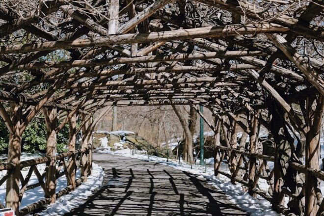 New York: Central Park - Guided Walking Tour - The Sum Up