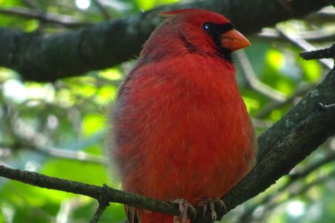 New York Central Park Secrets - Walking Tour - Reviews and Ratings