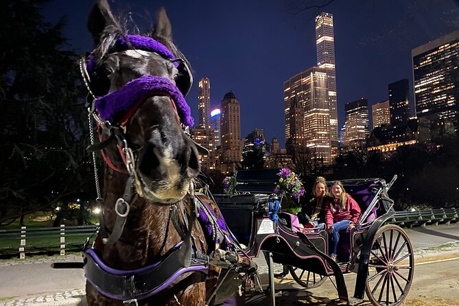 New York Central Park, Times Square Horse Drawn Carriage Ride  - New York City - Inclusions and Logistics