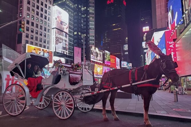 New York Central Park, Times Square Horse Drawn Carriage Ride  - New York City - Common Questions