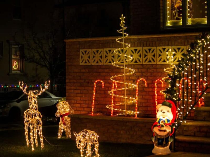 New York Christmas Lights Tour by BUS - Real Experiences and Practical Insights  