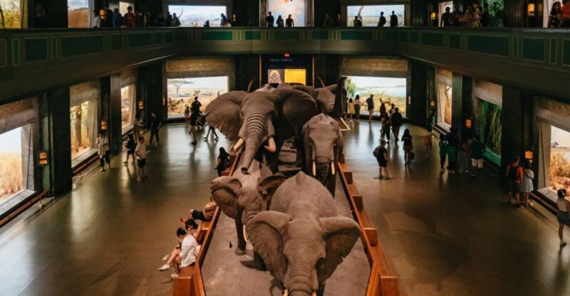 New York City: American Museum of Natural History Ticket - Location and Accessibility
