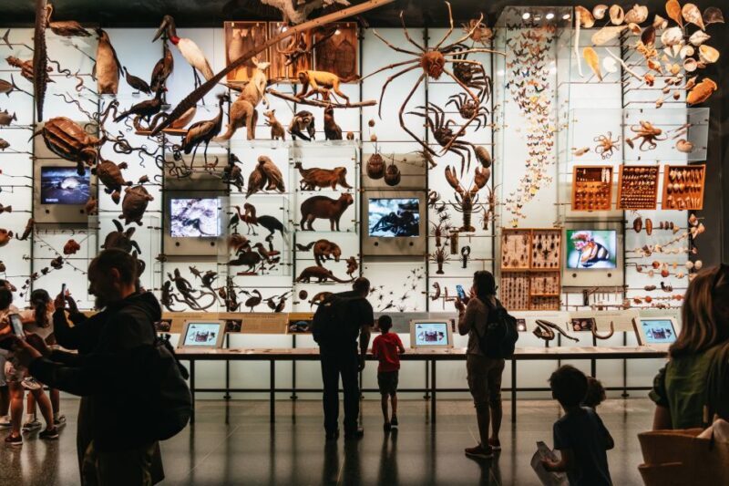 New York City: American Museum of Natural History Ticket - Ticket Options and Value