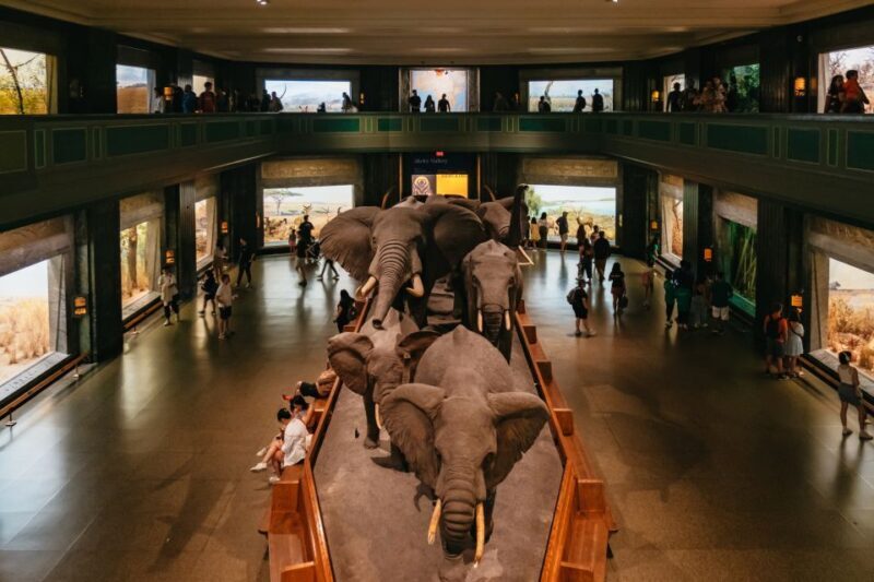 New York City: American Museum of Natural History Ticket - Exploring the Exhibits