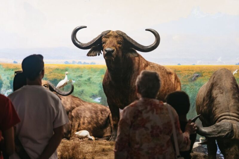 New York City: American Museum of Natural History Ticket - Family and Educational Appeal