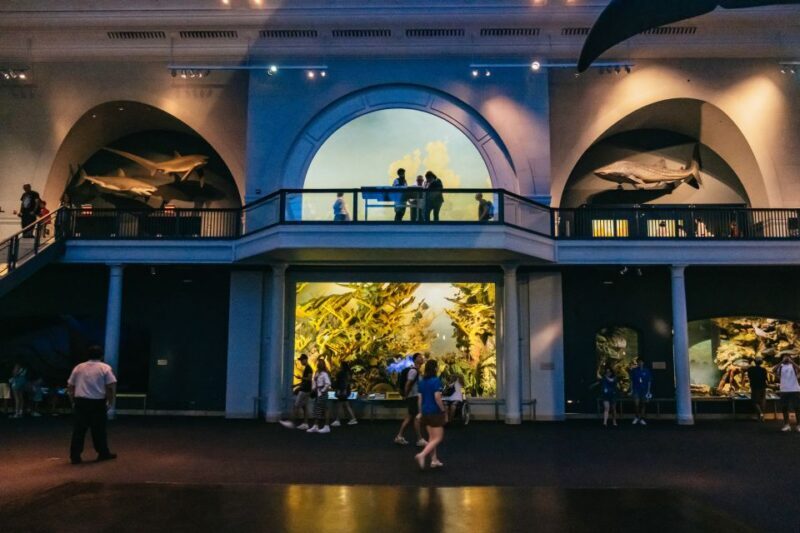 New York City: American Museum of Natural History Ticket - Authentic Experiences from Visitors