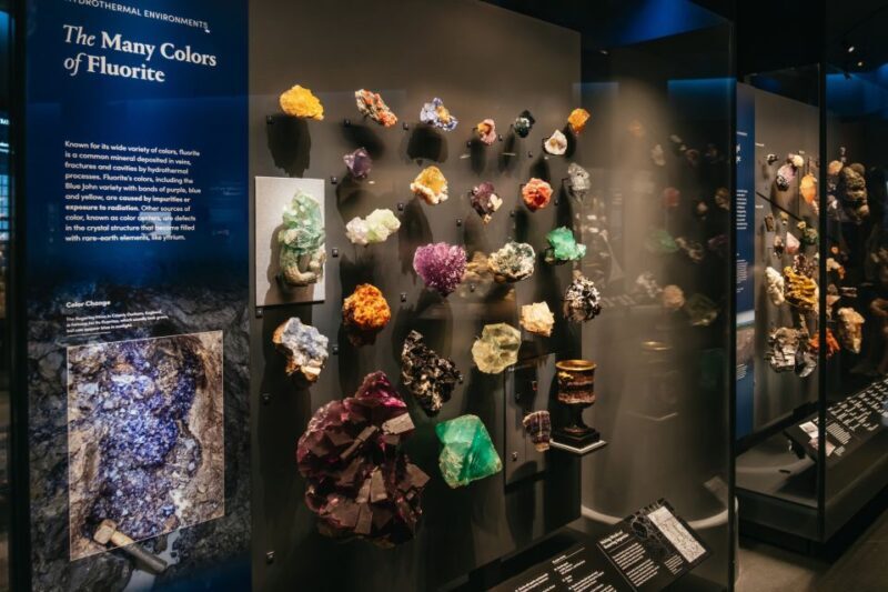 New York City: American Museum of Natural History Ticket - Value for Money