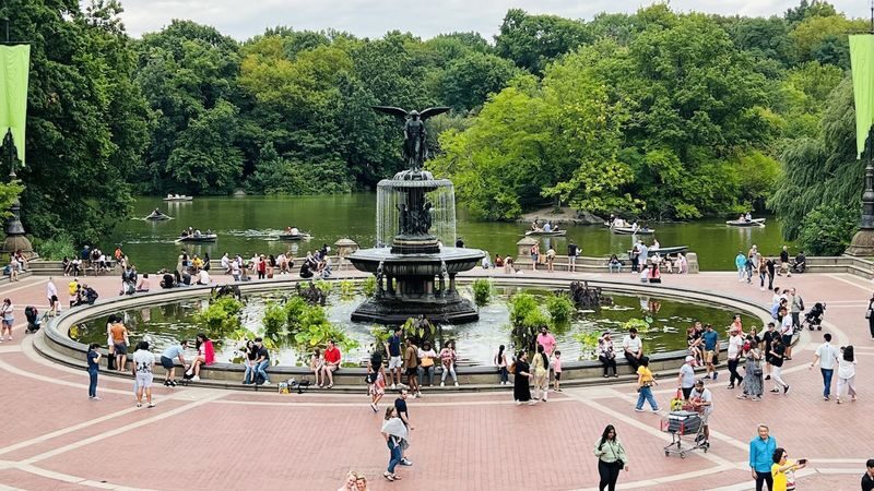 New York City Central Park Pedicab Guided Tour - Meeting point, timing and weather