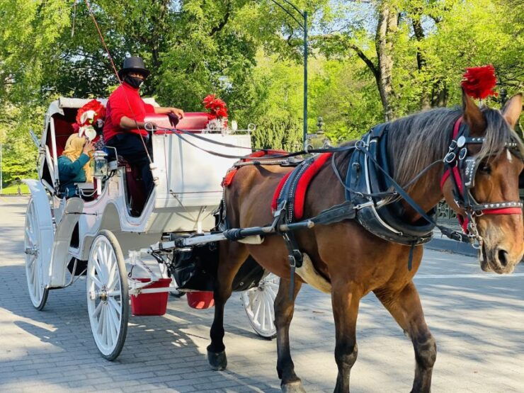 New York City: Central Park Private Horse and Carriage Tour - Experience Highlights