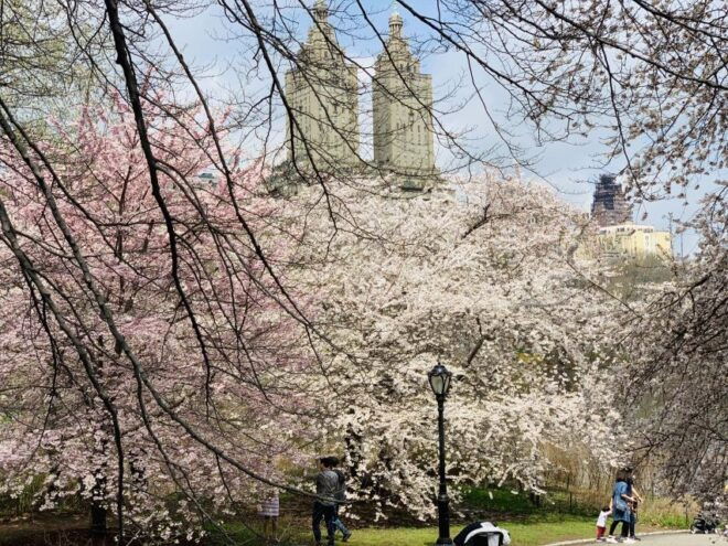 New York City: Central Park Private Horse and Carriage Tour - Additional Options