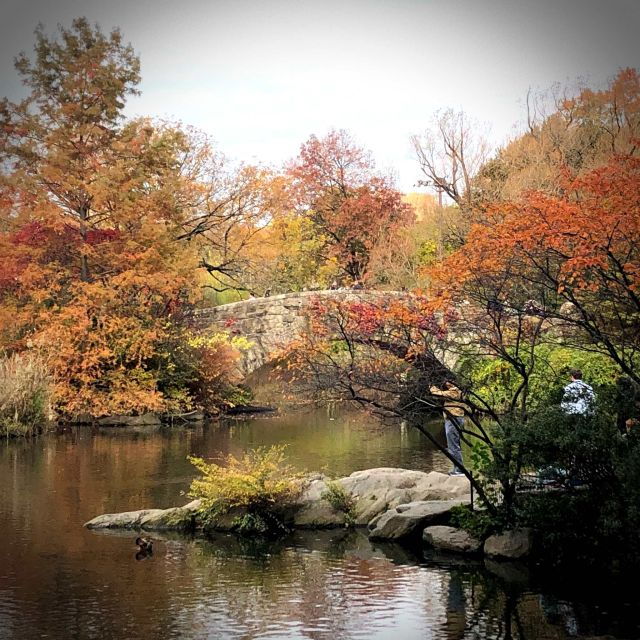 New York City: Central Park Self-Guided Audio Walking Tour - Frequently Asked Questions