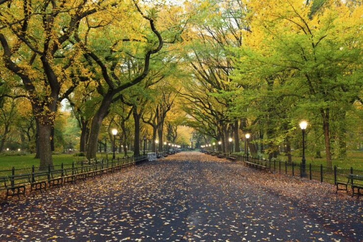 New York City: Central Park Self-Guided Walking Tour - Highlights of Central Park Tour