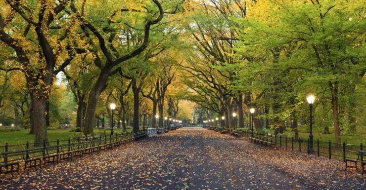 New York City: Central Park Self-Guided Walking Tour - Ticket Details and Cancellation Policy