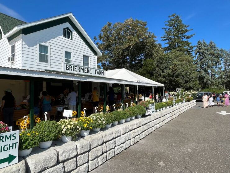 New York City: Day Trip To Long Island's Wine Country - Wine Tasting at Award-Winning Vineyards