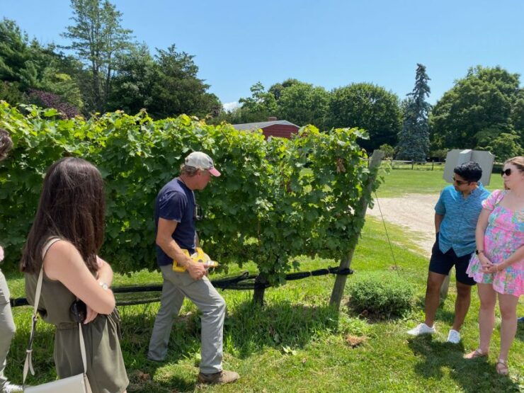 New York City: Day Trip To Long Island's Wine Country - Guided Tour of Long Islands Wine Country