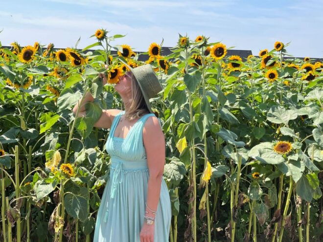 New York City: Day Trip To Long Island's Wine Country - Luxury Transportation and Comfortable Travel