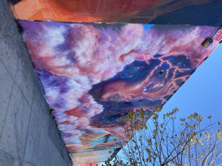 New York City: French Bushwick and Williamsburg Tour - Tour Overview