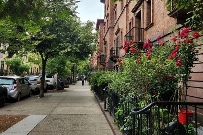 New York City Harlem Walking Tour with a Guide - Who Would Love This Tour?