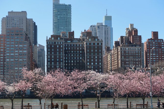 New York City Highlights Private Walking Tour - Pricing and Booking Details