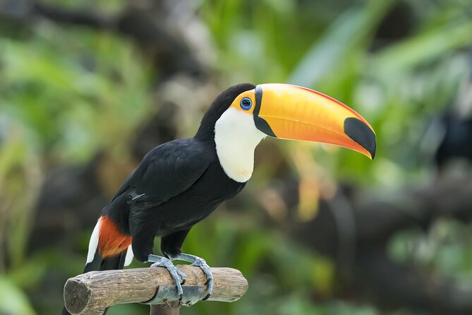 New York City Highlights Private Walking Tour - Pricing Details